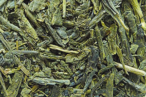 Sencha