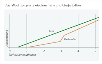 Das Wechselspiel zwischen Tein und Gerbstoffen