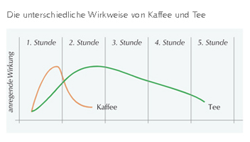 Die unterscheidliche Wirkweise von Kaffee und Tee