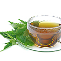 Bio Stevia-Tee Verkauf geht weiter