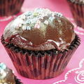 Chocolate Cup Cakes